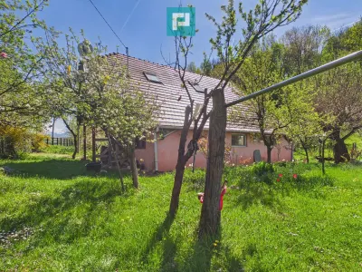 Casă 5 camere Campani - poza 20
