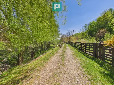 Casă 5 camere Campani - poza 21