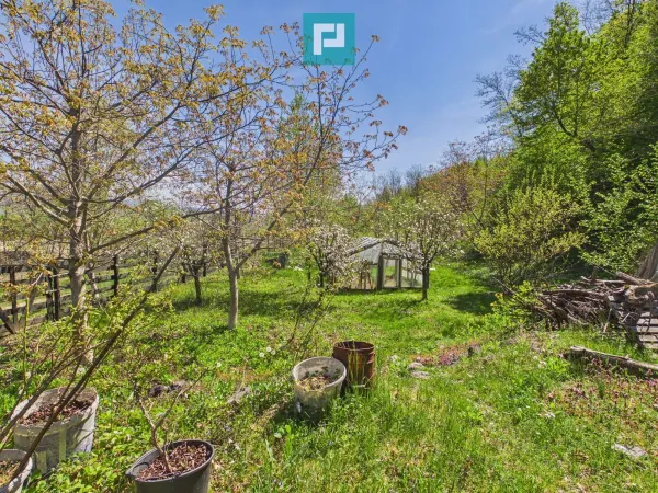 Casă 5 camere Campani - poza 23