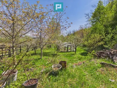 Casă 5 camere Campani - poza 23