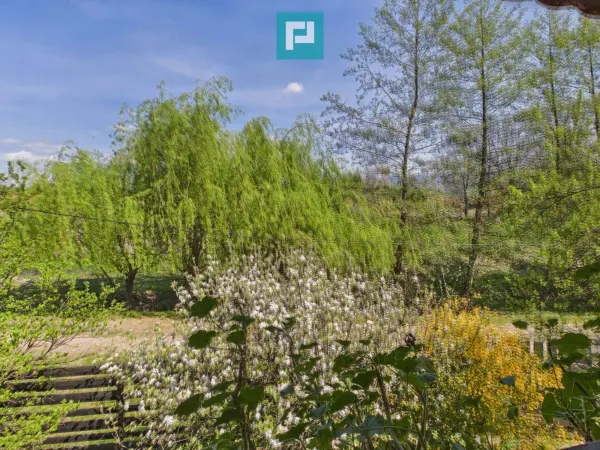 Casă 5 camere Campani - poza 24