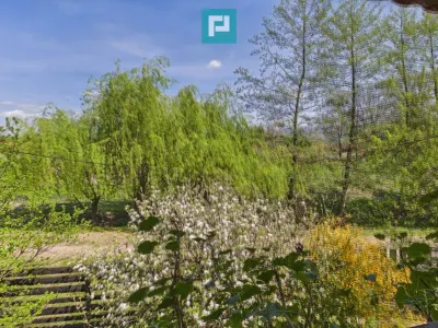 Casă 5 camere Campani - poza 24