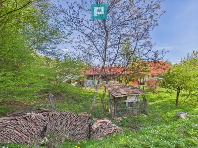 Casă 5 camere Campani - poza 5