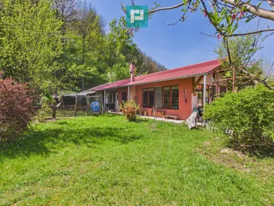 Casă Câmpani, 8000 mp teren, la poalele Apusenilor - Campani