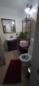 Apartament 2 camere Sinaia - poza 14