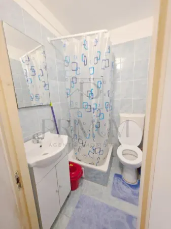 Apartament 1 camera Timișoara - poza 7