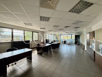 Spațiu industrial Otopeni - poza 19