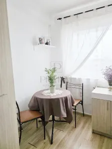 Apartament 1 camera Timișoara - poza 3
