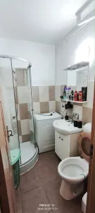 Apartament 1 camera Iași - poza 5