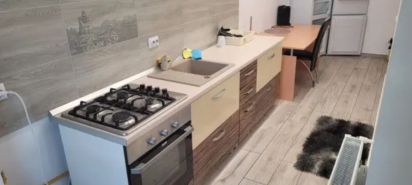 Apartament 1 camera Iași - poza 6