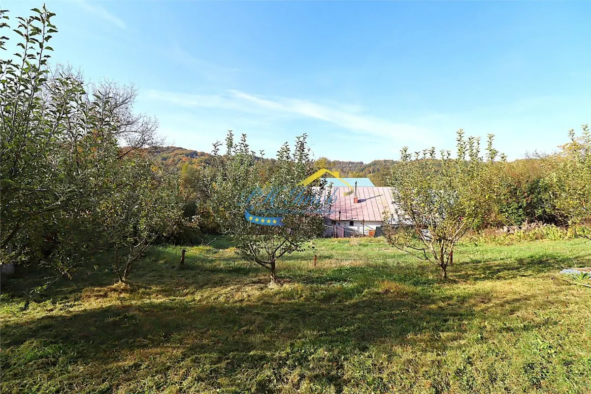 Teren Provita de Jos - poza 1
