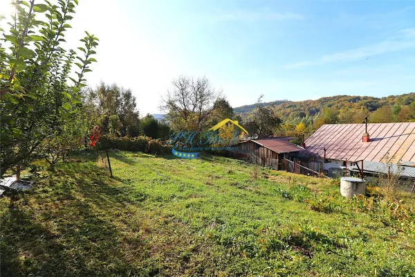 Teren Provita de Jos - poza 3