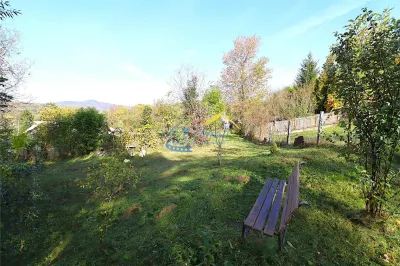 Teren Provita de Jos - poza 4