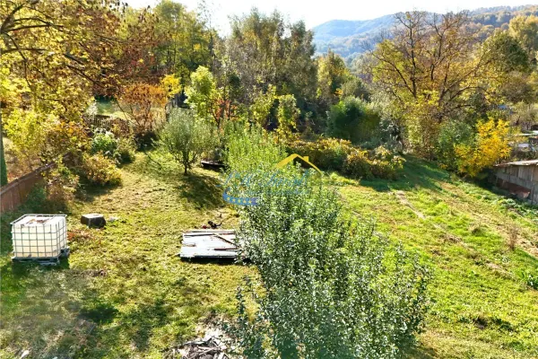 Teren Provita de Jos - poza 5