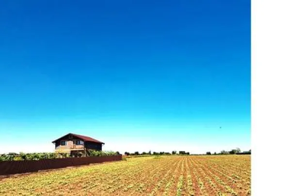 Teren Costinești - poza 15