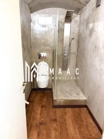 Spațiu comercial Sibiu - poza 10