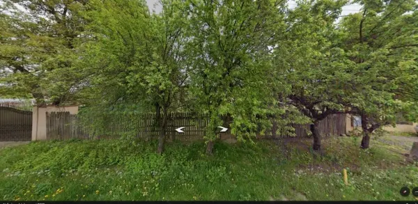 Teren Moara Vlăsiei - poza 3