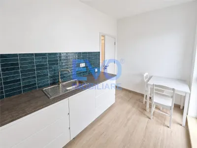 Apartament 1 camera Iași - poza 8