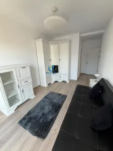 Apartament 3 camere Cristian - poza 11