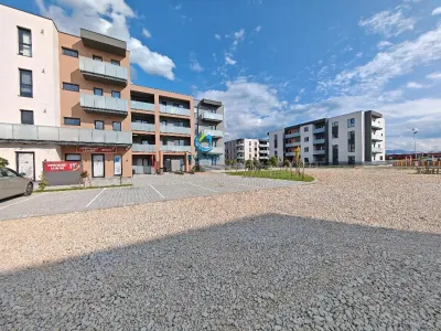 Apartament 3 camere Cristian - poza 18