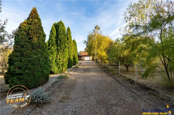Casă 5 camere Dobolii de Jos - poza 7