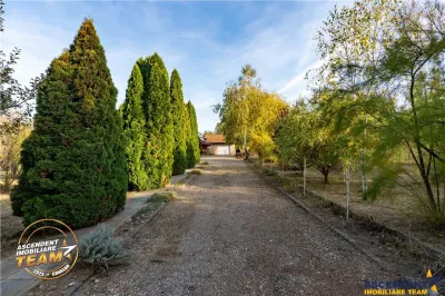 Casă 5 camere Dobolii de Jos - poza 7