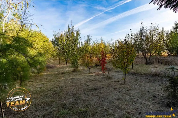 Casă 5 camere Dobolii de Jos - poza 21