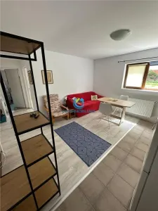 Apartament 2 camere de inchiriat, demisol, Calea Turzii - Cluj-Napoca