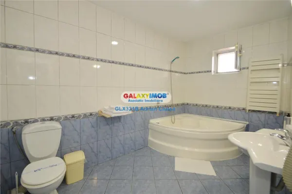 Spațiu comercial București - poza 15