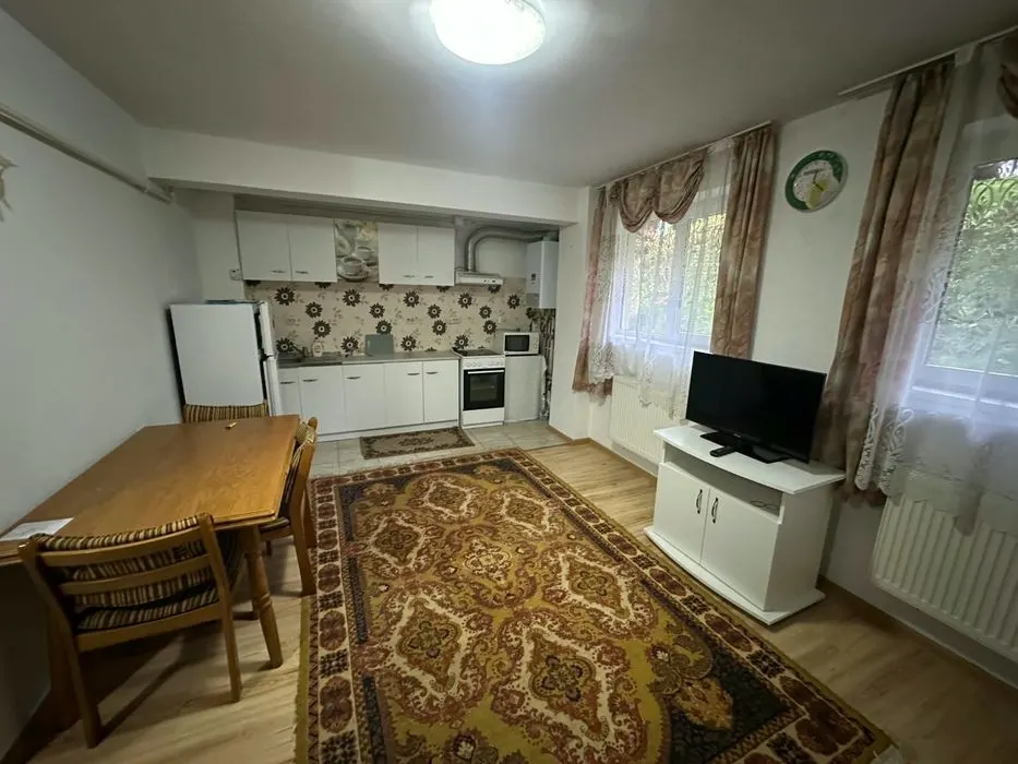 Apartament 1 camera Cluj-Napoca - poza 1