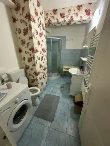 Apartament 1 camera Cluj-Napoca - poza 4