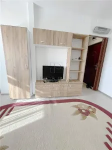 Apartament 1 camera Timișoara - poza 2