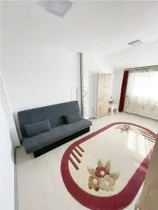 Apartament 1 camera Timișoara - poza 3