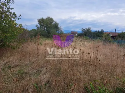 Casă 5 camere Daia - poza 11