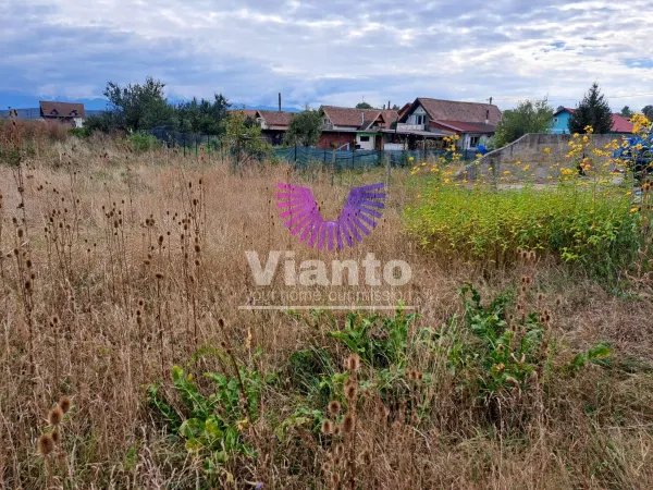 Casă 5 camere Daia - poza 15