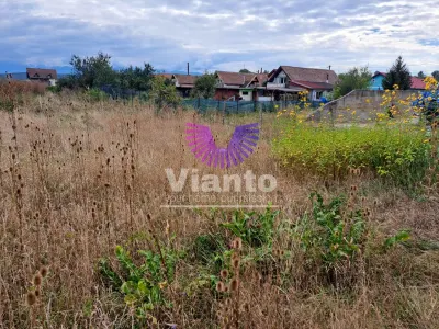 Casă 5 camere Daia - poza 15