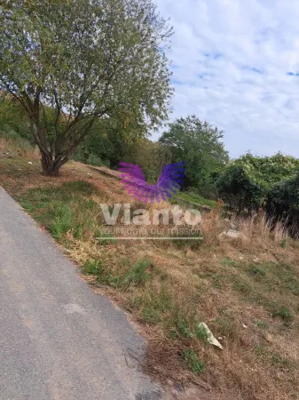 Casă 5 camere Daia - poza 17