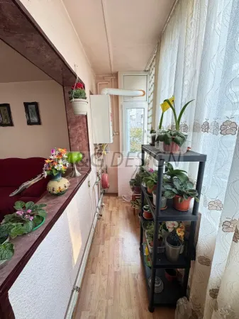 Apartament 3 camere Timișoara - poza 7