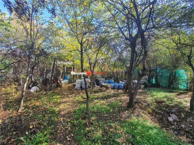 Casă 2 camere Marghita - poza 2