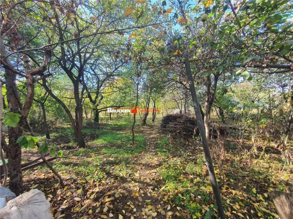 Casă 2 camere Marghita - poza 3