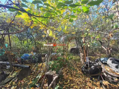 Casă 2 camere Marghita - poza 4