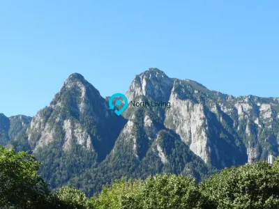 APARTAMENT BUSTENI CU VEDERE PANORAMAMA - Busteni