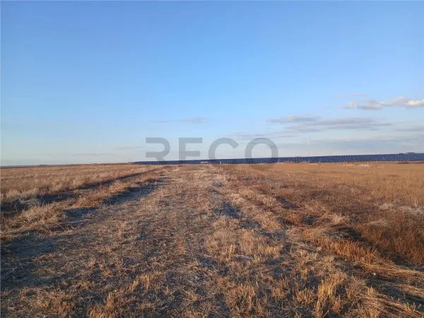 Teren Livada de Bihor - poza 3