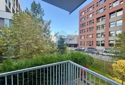 Apartament 2 camere Cluj-Napoca - poza 6