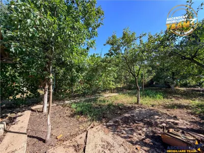 Casă 3 camere Sfântu Gheorghe - poza 13