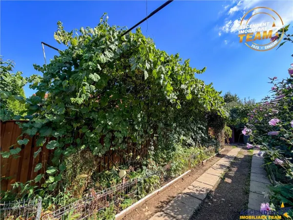Casă 3 camere Sfântu Gheorghe - poza 17
