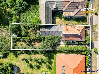 Casă 3 camere Sfântu Gheorghe - poza 3