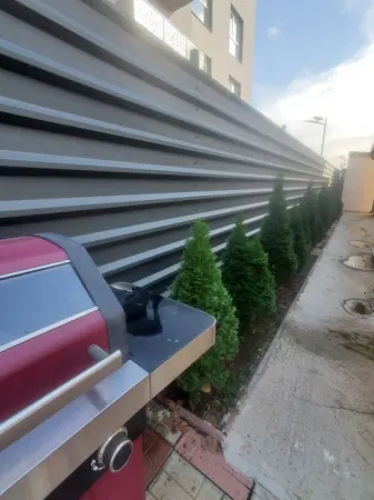 Casă 4 camere București - poza 5