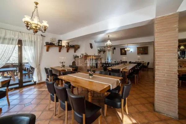 Hotel/Pensiune Danes - poza 9