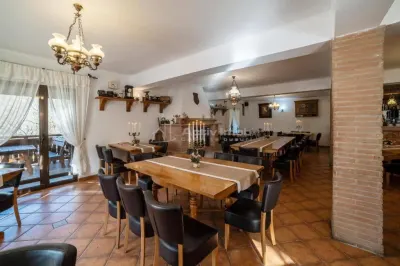 Hotel/Pensiune Danes - poza 9